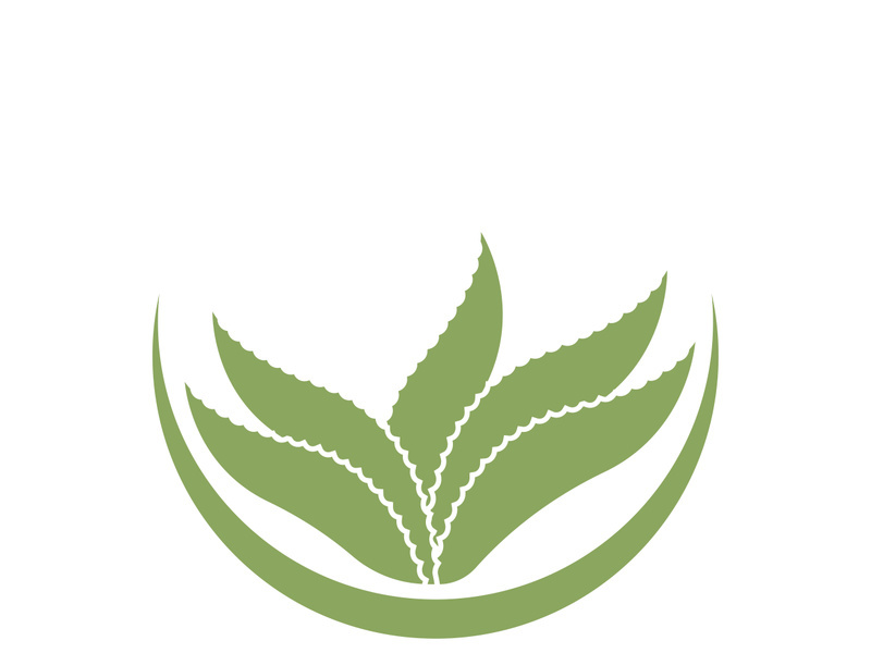 Aloe Vera logo icon design symbol beauty skin care