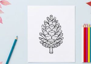 Pine cone line art illustration. Hand drawn botanical sketch of a conifer seed.
