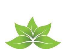 Logos of green tree leaf ecology nature element vector