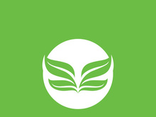 Leaf logo green nature vector image