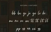 Bellina - Handwritten Font