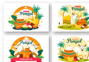 12 Happy Pongal Celebration Illustration