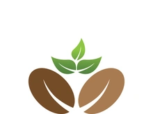 Coffee bean icon vector illustration template