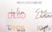 Hollen Amare Font Duo