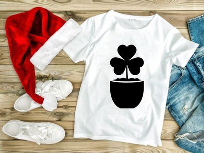 Potted Shamrock Plant