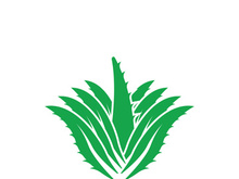 Aloe Vera logo icon design symbol beauty skin care