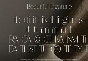 Fracture - Serif Font