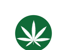 Canabis leaf logo and symbol vector