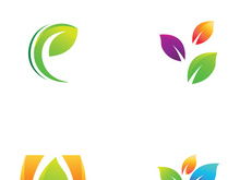 Colorful natural leaf logo design.