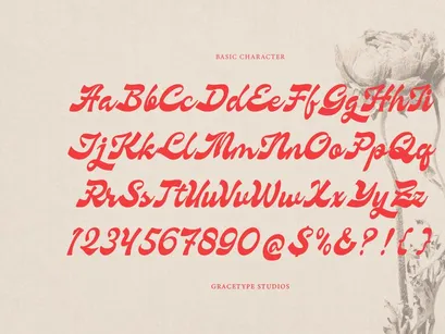 Nevroda Wisdom | Vintage Bold Script