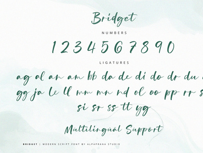 Bridget - Modern Script Font