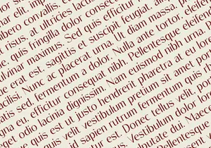 Olario - Sans Serif Font