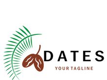 Date palm fruit plant logo design with leaves,seeds and date palm tree isolated background exotic organic plant.