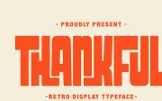 Thankful - Retro Display