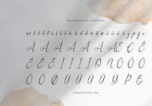 Woncherlly | Elegant Calligraphy Script