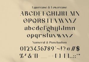 Afteris Moghu Modern/Vintage Font