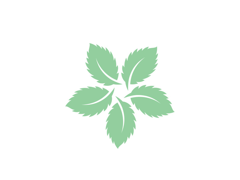 Mint Leaf icon template illustration