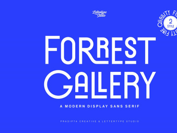 Forrest Gallery Modern Display Font preview picture