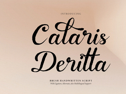 Calaris Deritta | Brush Handwritten Script