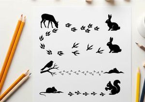 Forest creatures silhouette graphic featuring various animals