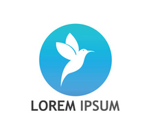 Beautiful and colorful bird creative logo design.