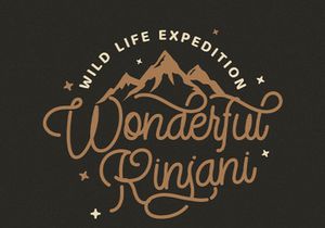 StringLabs - Monoline Retro Font