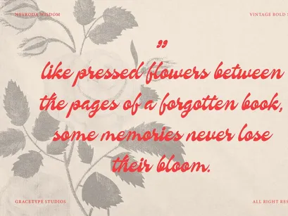 Nevroda Wisdom | Vintage Bold Script