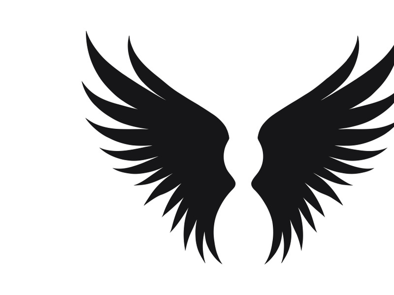 black bird wing logo vector