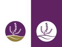 Fresh lavender flower logo vector flat design