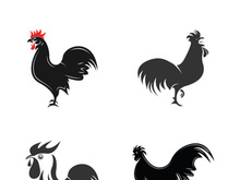 Rooster logo icon vector and symbol template design illustration