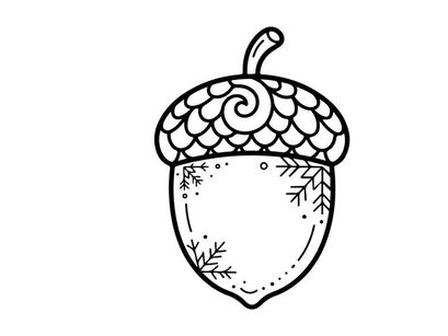 Close-up dari ilustrasi akar yang detail. Gambar botani artistik dari biji ek dengan tudung bertekstur dan kacang halus, cocok untuk alam dan pendidikan...