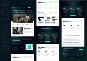 Digiboost - Landing Page for All Agency