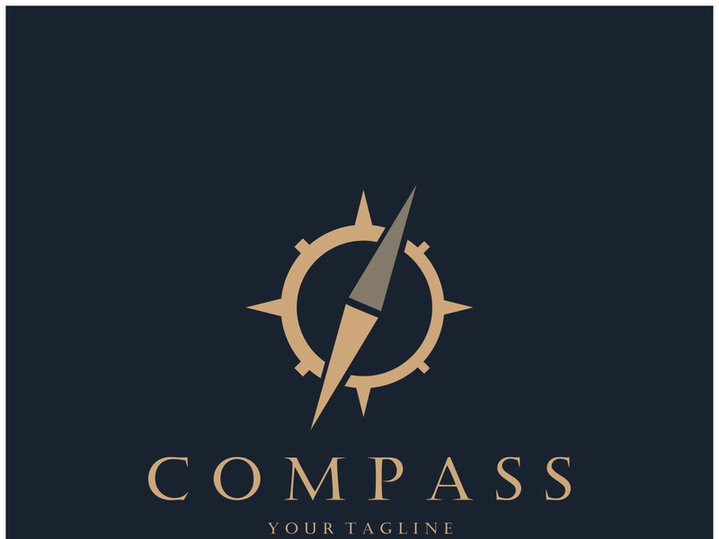 compass icon isolated on background.modern flat compass pictogram,business,marketing,internet concept.trendy simple vector symbol for websitedesign or button to mobile app.logo illustration.