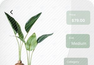 Green Shop Mobile App