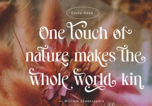 Costa Nova || Modern Ligature serif