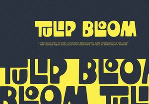 TinyTigra - Display Font