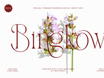 Bingkow modern display serif preview picture