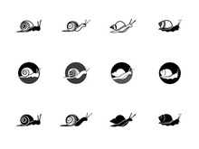 snail animal logo and symbol template
