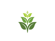 Eco green icon illustration design