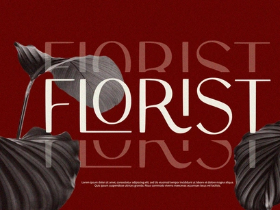 Olario - Sans Serif Font