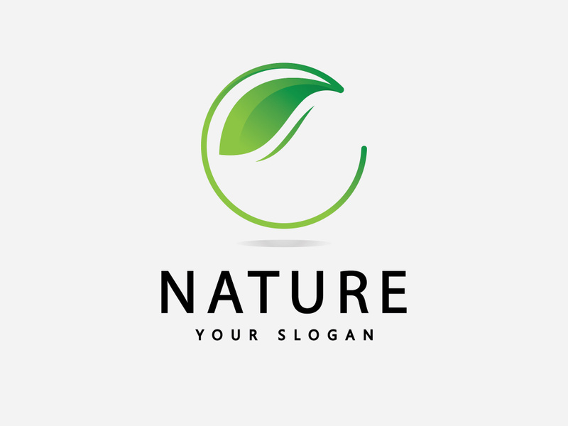 Green leaf logo  Nature icon design