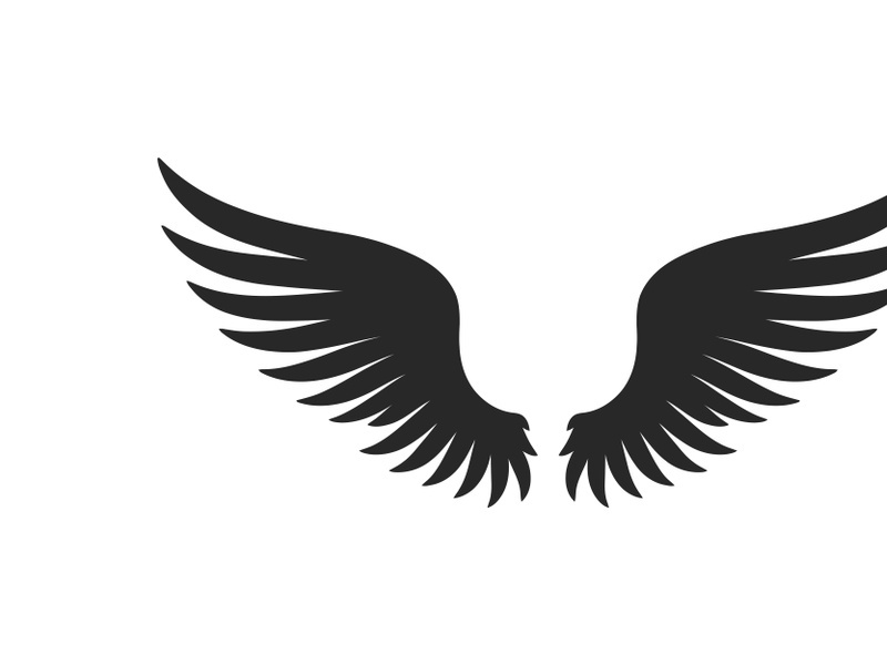 black bird wing logo vector