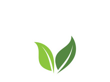 Green leaf ecology nature element vector icon
