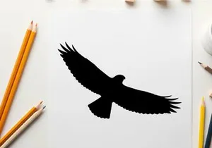 Silhouette of a bird in flight with outstretched wings