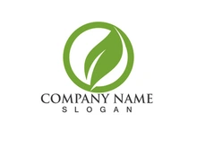 Green leaf logo Vector