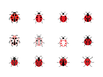 ladybird animal  vector logo symbol icon preview picture