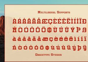 Mojave | Western Slab Serif