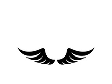 Wing illustration logo and symbol vector