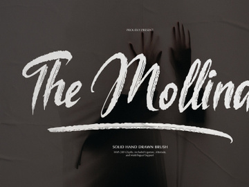 The Mollina | Solid Hand Drawn Brush preview picture