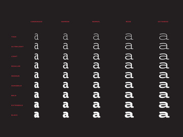 ETC Trispace: Free typeface in 45 styles preview picture